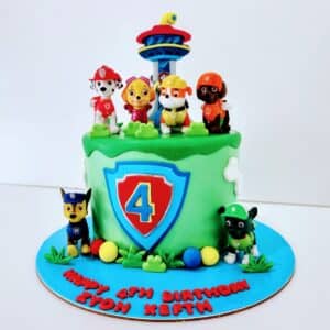 Paw patrol
